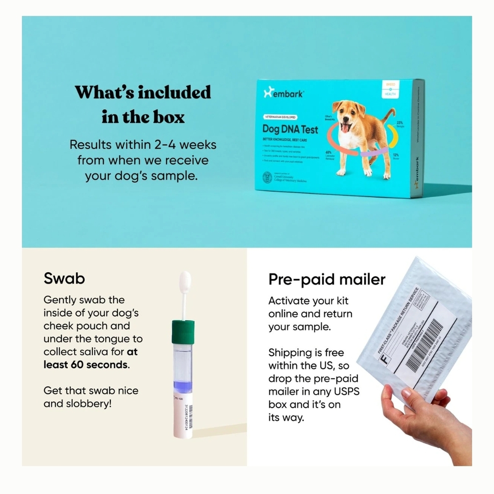 Bark Dog DNA Test Kit - Vibrant Blue - Picture 3 of 5